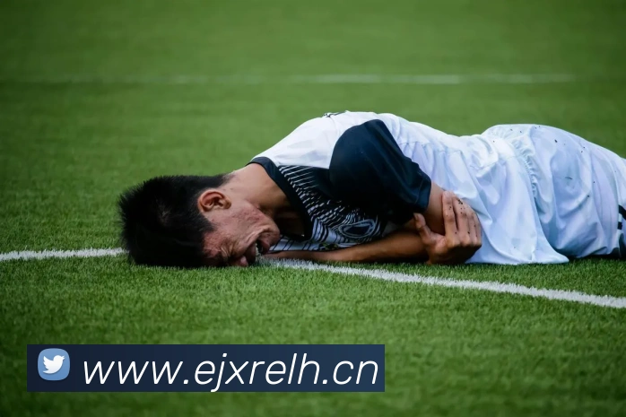 多媒体互动体验